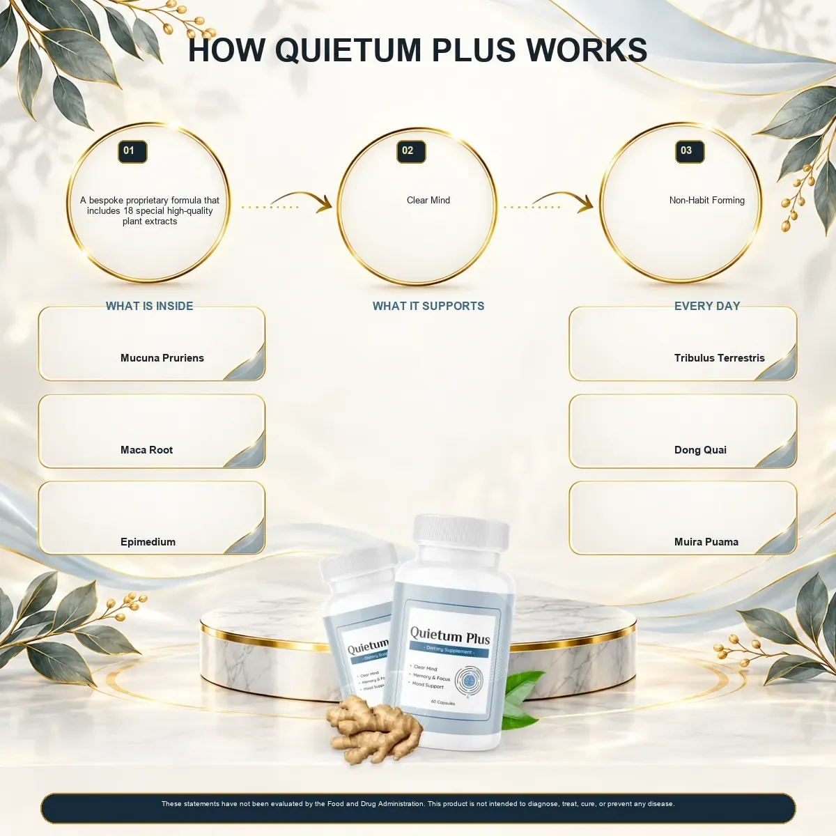 Vendor infographic titled How Quietum Plus Works: 18 plant extracts, Clear Mind, Non-Habit Forming, and six ingredient names
