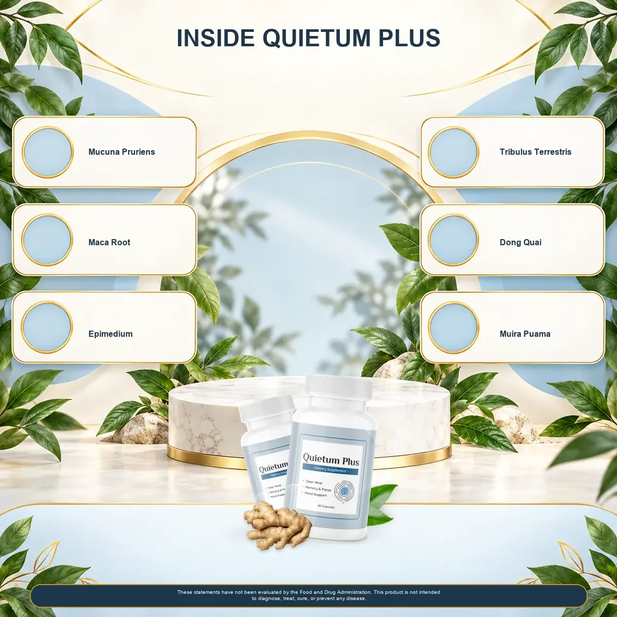 Vendor infographic titled Inside Quietum Plus with six ingredient names around two bottles